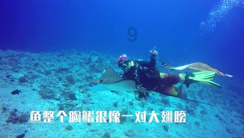 字节跳动成立抖音集团，对该企业将产生哪些影响？